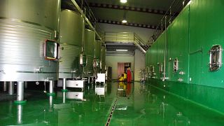 Degustazione di vini e visita alle Bodegas Comenge