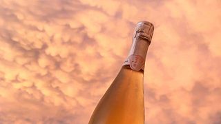 Degustação de vinhos e visita à Agroforestale Fontezoppa