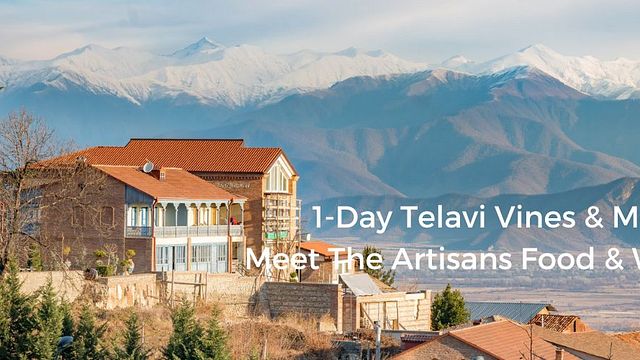 Tour enogastronomico di 1 giorno a Kakheti (Telavi): incontra gli artigiani del vino! - Viti e montagne