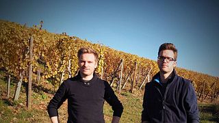 Alsace Wine Journey at Wunsch & Mann