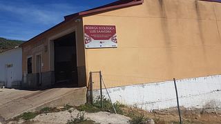 Degustação de vinhos e tour na Bodega Ecológica Luis Saavedra