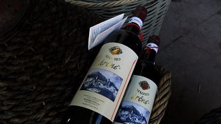 Azienda Agricola Mauro Vini