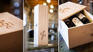 Degustazione di vini e tour presso Polic Estate Truske
