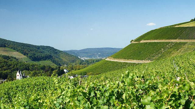Pernoite no belo Vale Ruwer em Weingut Erben von Beulwitz