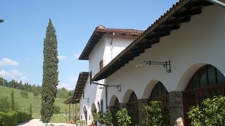 Cata de vinos y visita guiada en Colutta Wines