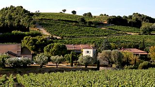 Domaine des Girasols