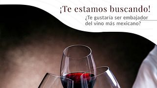 Viñedos Azteca: A Hidden Gem in Querétaro