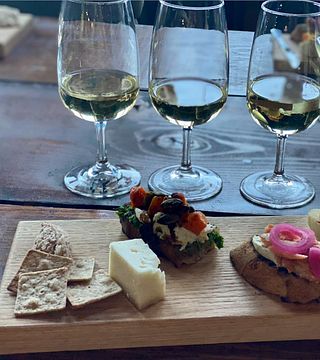 Point Of The Bluff Vineyards