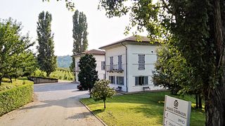 Visite nei locali della cantina, vigneti e degustazione dei vini più rappresentativi
