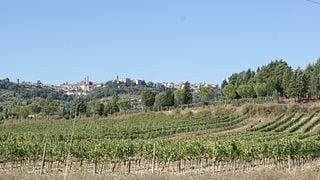 Tuscan Vineyard Walk & Brunello Tasting