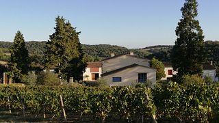 Weinprobe in Fässern (AOP weißer Limoux) und Besichtigung der Domaine de Treille