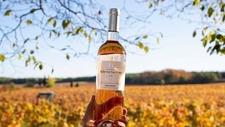 Besichtigung und Weinprobe im Château Bellevue La Forêt