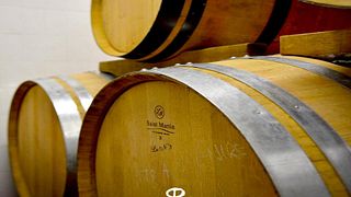  Degustazione di vini leggeri, tour dei vigneti ed esperienza in cantina - Azienda agricola biologica