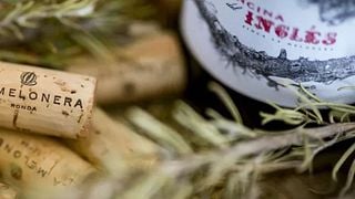Cata de vinos y visita a la Bodega La Melonera