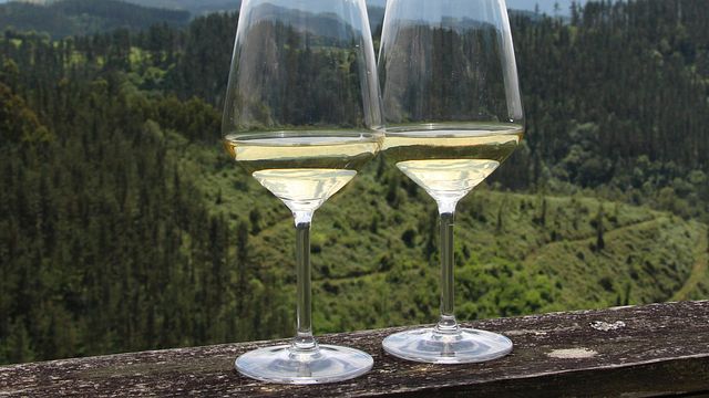Bodega Berroja Winery