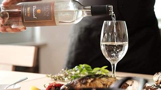 Dégustation de vins et visite de la cave Santa Irene