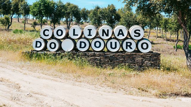 Elevated Douro Valley Wine Tasting Adventure
