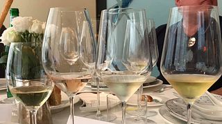 Dégustation de vins et visite à la Villa Santo Stefano -Societa