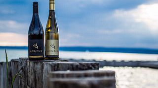 Vineyard Hands-On: Burgenland Wine Discovery