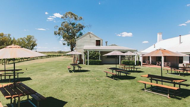 Cellar Door Tasting Experience