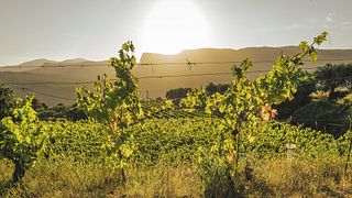Domaine de la source