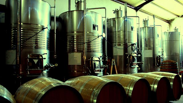 Balearic Islands: Biodynamic Wines & Tapas Tour