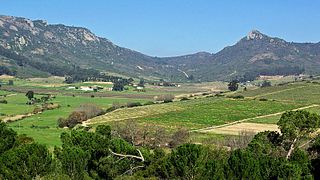 Dégustation de vins et visite du vignoble Dragonridge