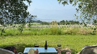 Savour Trentino Pinot Noir on a Vineyard Walk