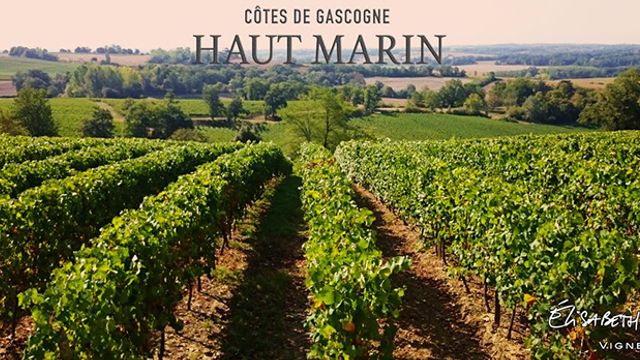 South West France Organic Wine & Armagnac Tasting