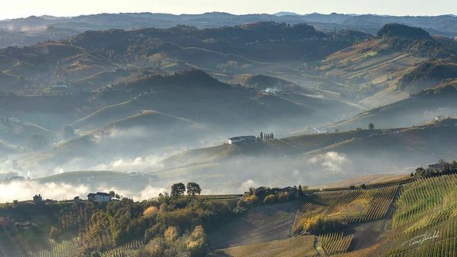 Langhe: Descubra os vinhos da família Borgogno