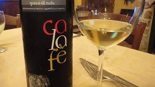 Vinprovning och rundtur på Azienda Calafe' Di Petrillo