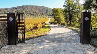 Rigoloccio Winery