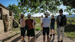 Dégustation au Domaine, 8 vins / Bell Cros