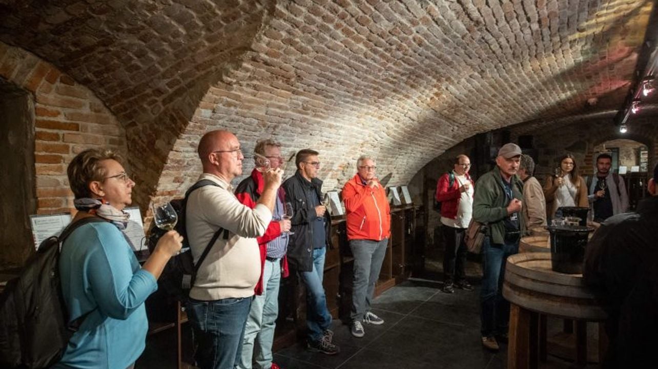 Cata de vinos con sumiller en Bratislava