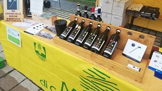 Weinprobe und Führung in der Cascina Delle Rocche Di Moncucco