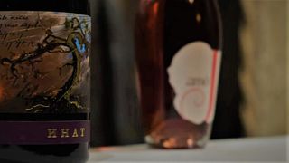 Visita e Degustação de 3 Vinhos