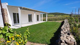 Vini arancioni della Sardegna Donne