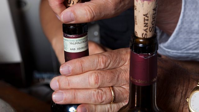 Dégustation de vins et visite à Santa Sofia