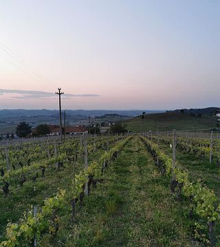 Weinprobe in der Azienda Agricola Cascina Garitina