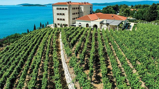 Dalmatia Wine & Tapas Journey at Korta Katarina
