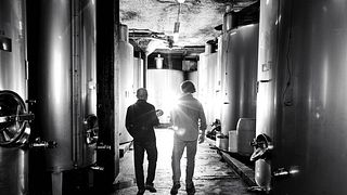 Cave Spring Vineyard