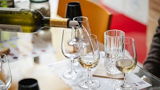 Degustação de vinhos de Bordeaux: vinhos brancos e queijos