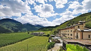 Weinprobe und Besichtigung im Casa Vinicola Triacca