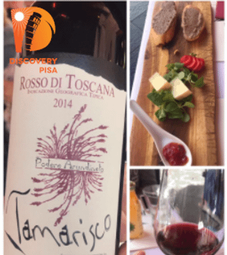 Tour guidato di Pisa e degustazione di vini