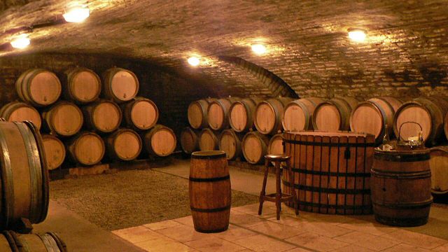 Premium Wine Tasting at Domaine De La Galopiere