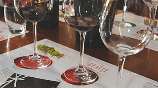 Taste Veneto Valpolicella Wine & Vineyard Discovery