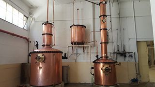 Cremisan Winery: A Taste of Palestinian Heritage