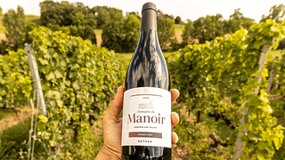 Wine tasting at Domaine du Manoir