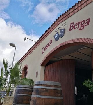Visita premium à vinícola Cuscó Berga