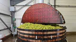 Champagne Tasting and Tour at Champagne Guy de Chassey